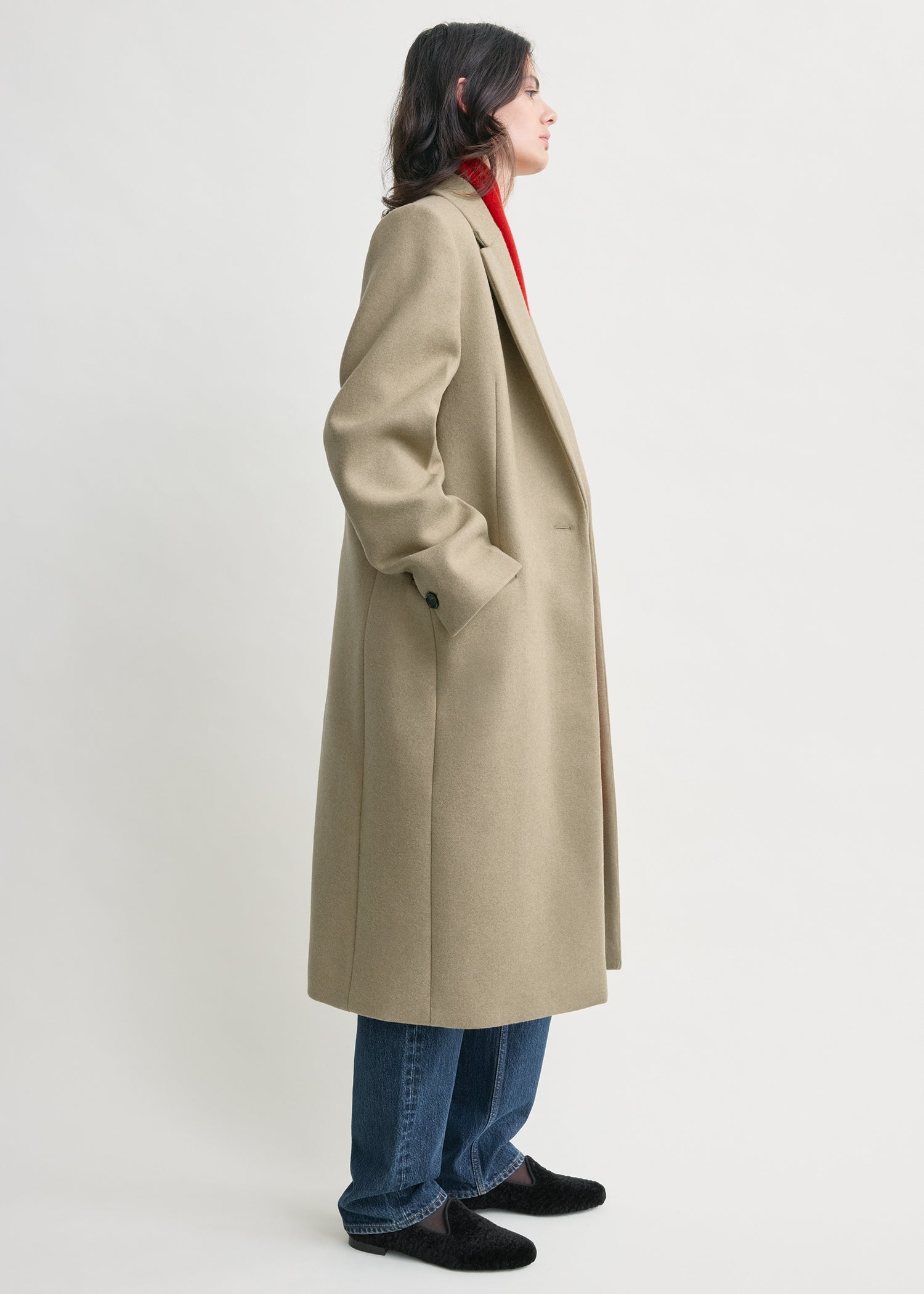 Classic winter coat biscuit